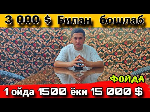 Видео: Ойлавий  бизнес  1  донадан  1 200 000  даромад.