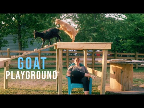Видео: Новая игровая площадка для коз!🐐