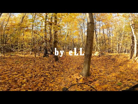 Видео: Чесс Парк/ Осенние Трейлы/ Бутово