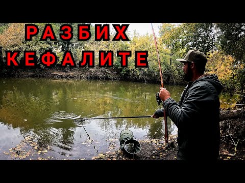 Видео: РАЗБИХ КЕФАЛИТЕ. СВЪРШИХА ми БЕЛИТЕ ЧЕРВЕИ. РЕЧЕН РИБОЛОВ НА ПЛУВКА