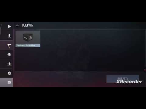 Видео: 13 ноября 2025 г.