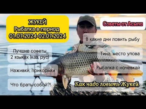 Видео: Рыбалка с ночевкай озеро Жукей (Щучинск). Рассказываю истенную картину!