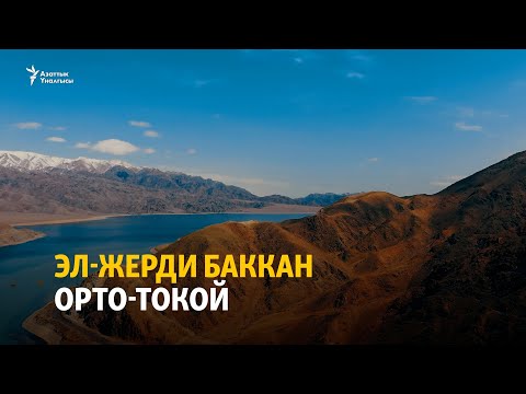 Видео: Эл-жерди баккан Орто-Токой