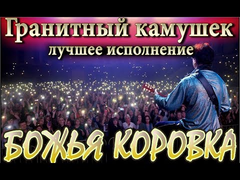 Видео: Божья коровка "Гранитный камушек" - Лучшее исполнение