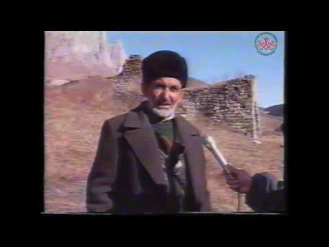 Видео: Салги