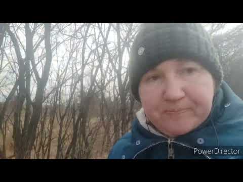 Видео: Наши богатые беженцы, показали себя. Мне Стыдно.