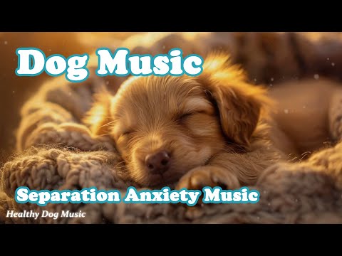 Видео: Успокаивающая музыка для собак💖🐶Музыка для собак, которая их успокаивает🎵