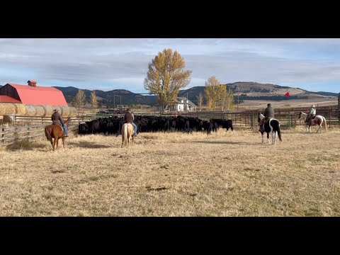 Видео: День отправки!