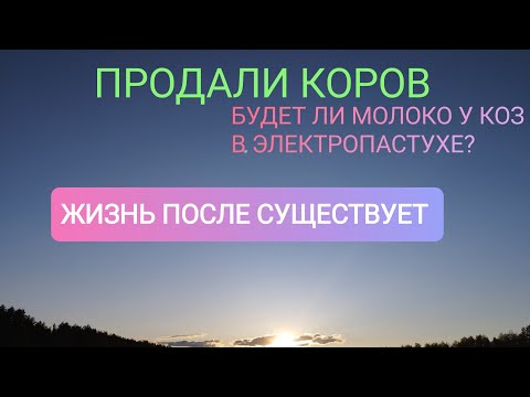 Видео: КАК ПОВЫСИТЬ УДОИ У КОЗ В ЭЛЕКТРОПАСТУХЕ!
