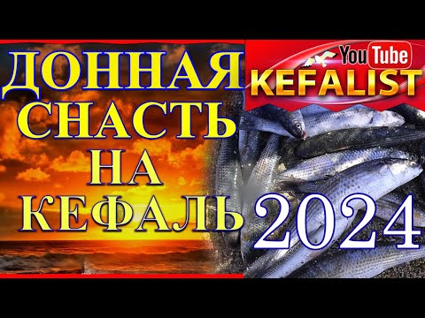 Видео: Снасти на кефаль! Монтаж ОБНОВЛЕННОЙ ДОННОЙ СНАСТИ для рыбалки на кефаль: лобань, пиленгаса, сингиря