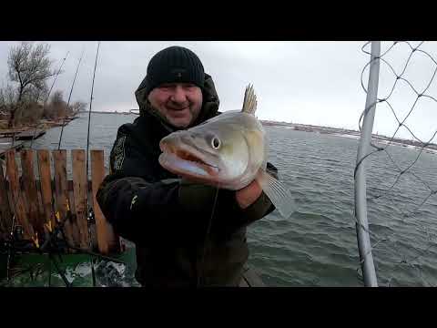 Видео: Как я ловлю судака на Днестре,база Зелёный остров