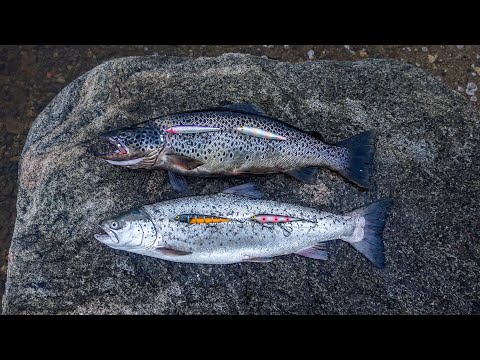 Видео: КУМЖА НА ПАЛЕЦ