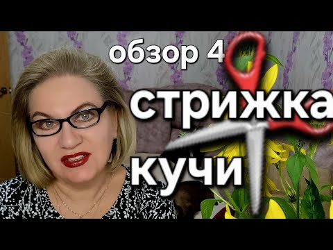 Видео: СТРИЖКА КУЧИ✂️🤣❗️