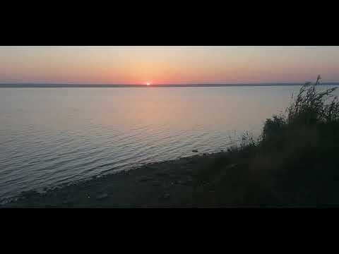 Видео: 6 сентября 2025 г.