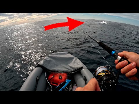 Видео: ВОТ ОНО!!! Счастье рыбака 😲