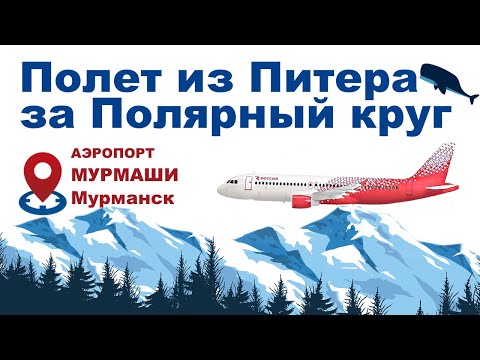 Видео: Обзор полета в Мурманск. Выбор еды из газированной и негазированной воды. Ночь в Пулково.