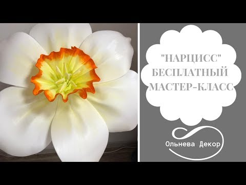 Видео: БЕСПЛАТНЫЙ МАСТЕР-КЛАСС "НАРЦИСС" от Ольги Ольневой