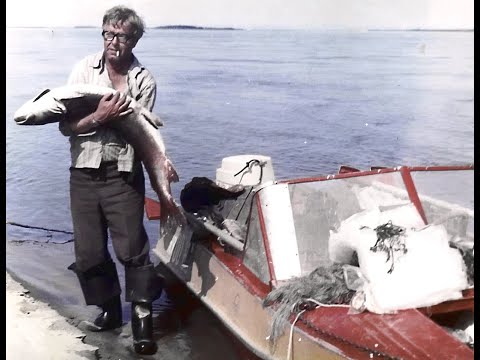 Видео: Самоподсекатель для ловли крупной рыбы с регулировкой усилия потяжки. Детальный обзор.