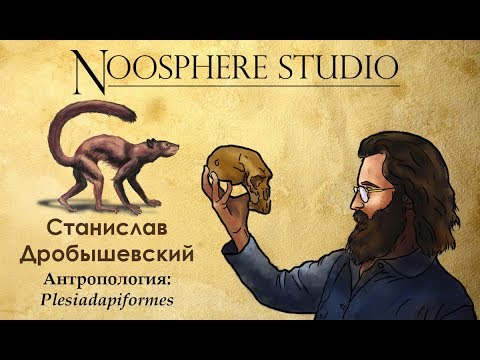 Видео: Антропология: Plesiadapiformes. Станислав Дробышевский