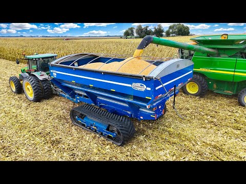 Видео: Новый зерновой прицеп Kinze для фермы (большое обновление)