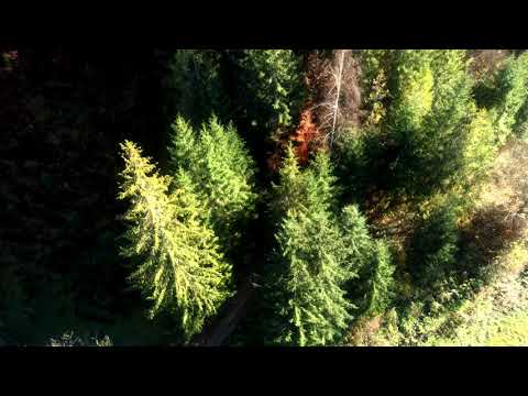 Видео: Осінній мотив...Яворів.