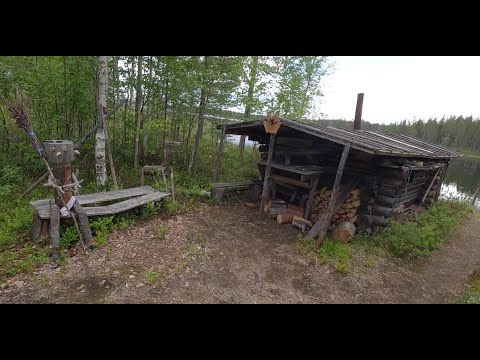 Видео: Секреты жизни в лесу которые ты не знал