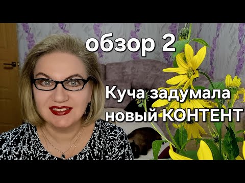 Видео: Куча задумала новый КОНТЕНТ❗️