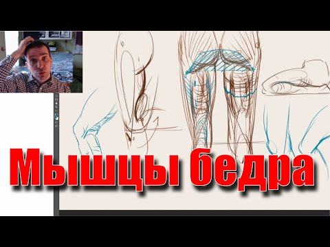 Видео: Мышцы задней поверхности бедра - А. Рыжкин