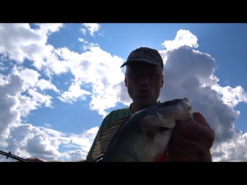 Видео: Нахимовское озеро. Рыбалка 09.08.24.