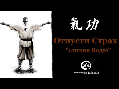 Видео: Цигун: стихия Воды. Регулирует почки, мочевой пузырь и страх. Пять элементов У-си.