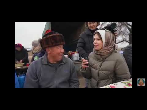 Видео: 22 января 2025 г.