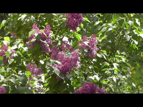 Видео: На ВерблюдАх и около. Сталинград-Волгоград