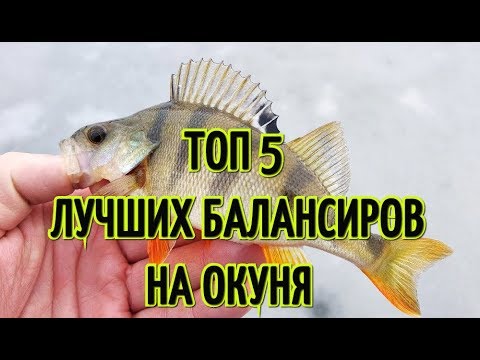 Видео: ТОП 5 ЛУЧШИХ БАЛАНСИРОВ ДЛЯ ЛОВЛИ ОКУНЯ