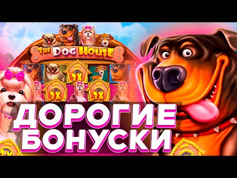 Видео: СЛОВИЛ КУЧУ ДОРОГИХ БОНУУСОК В СЛОТЕ THE DOG HOUSE И ЗАНОС? | ЗАНОСЫ НЕДЕЛИ