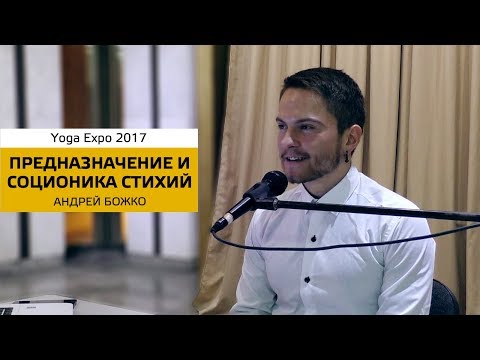 Видео: Предназначение и Соционика на Yoga Expo 2017