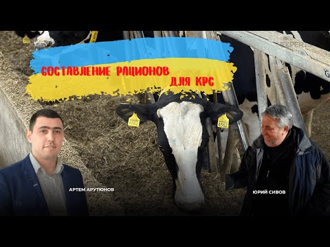 Видео: Составление рационов для крупного рогатого скота