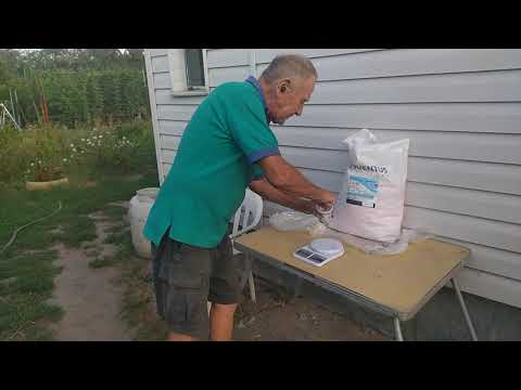 Видео: Внесение калийных удобрений под корень винограда.