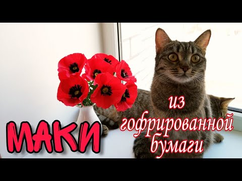 Видео: МАКИ из гофрированной бумаги | 8 марта