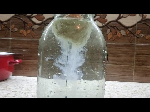 Видео: ТЕСТА ДЛЯ РЫБАЛКИ НА ТОЛСТОЛОБА  (и Техноплонктон не нужен) @otdih-Tajikistan