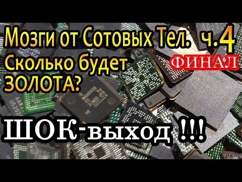 Видео: Мозги от сотовых Тел. Финал. Шок выход