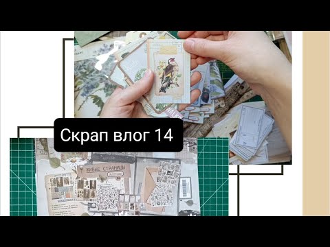 Видео: Скрап влог 14 в 2024. Жёлтый альбом, коты, покупки с Али, Живые страницы от Пейпер Хом