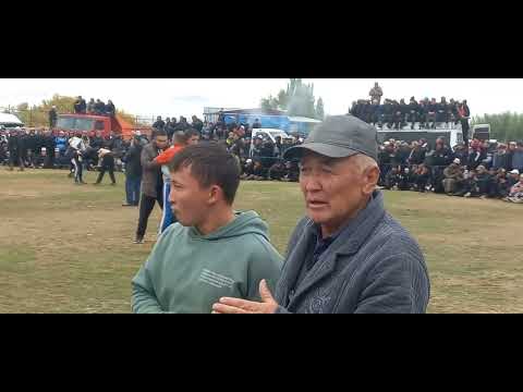 Видео: Лейлек району,Кулунду айылы.Камал палбандын күрөшү...