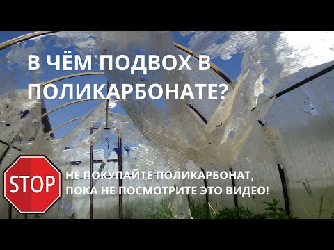 Видео: Какой поликарбонат купить для теплицы? Как выбрать теплицу из поликарбоната. Часть 2.