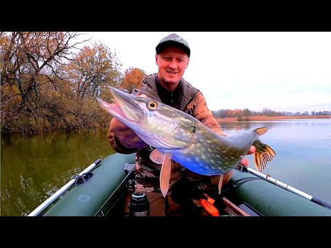 Видео: Забрались в СЕКРЕТНОЕ ОЗЕРО! Осенний спиннинг в деле.