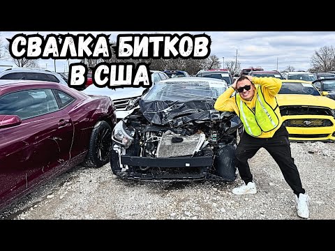 Видео: авто аукцион IAAI авто свалка битков в США