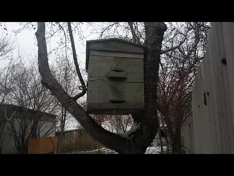 Видео: Система ульев/Какой улей выбрать/Какой улей лучше