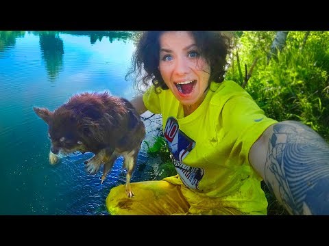 Видео: СПАСАЮ МИШУ ИЗ ВОДЫ! СОБАКИ НА РЕЧКЕ ПЕРВЫЙ РАЗ В ГОДУ! ПЕРВОЕ ЛЕТО В ДОМЕ - ПЛЯЖНЫЙ ЭПИК ВЛОГ