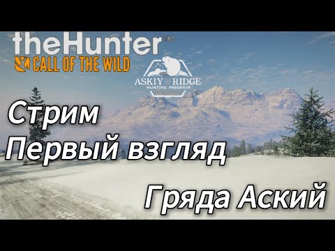Видео: ASKIY RIDGE - Новый заказник - Первый взгляд. theHunter: Call of the Wild