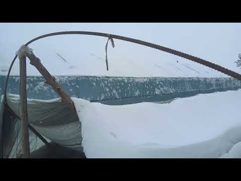 Видео: Барф борид, кирмхо чи мешавад? 900172225