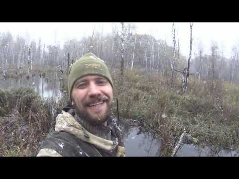 Видео: Супер охота на Бобра 2021